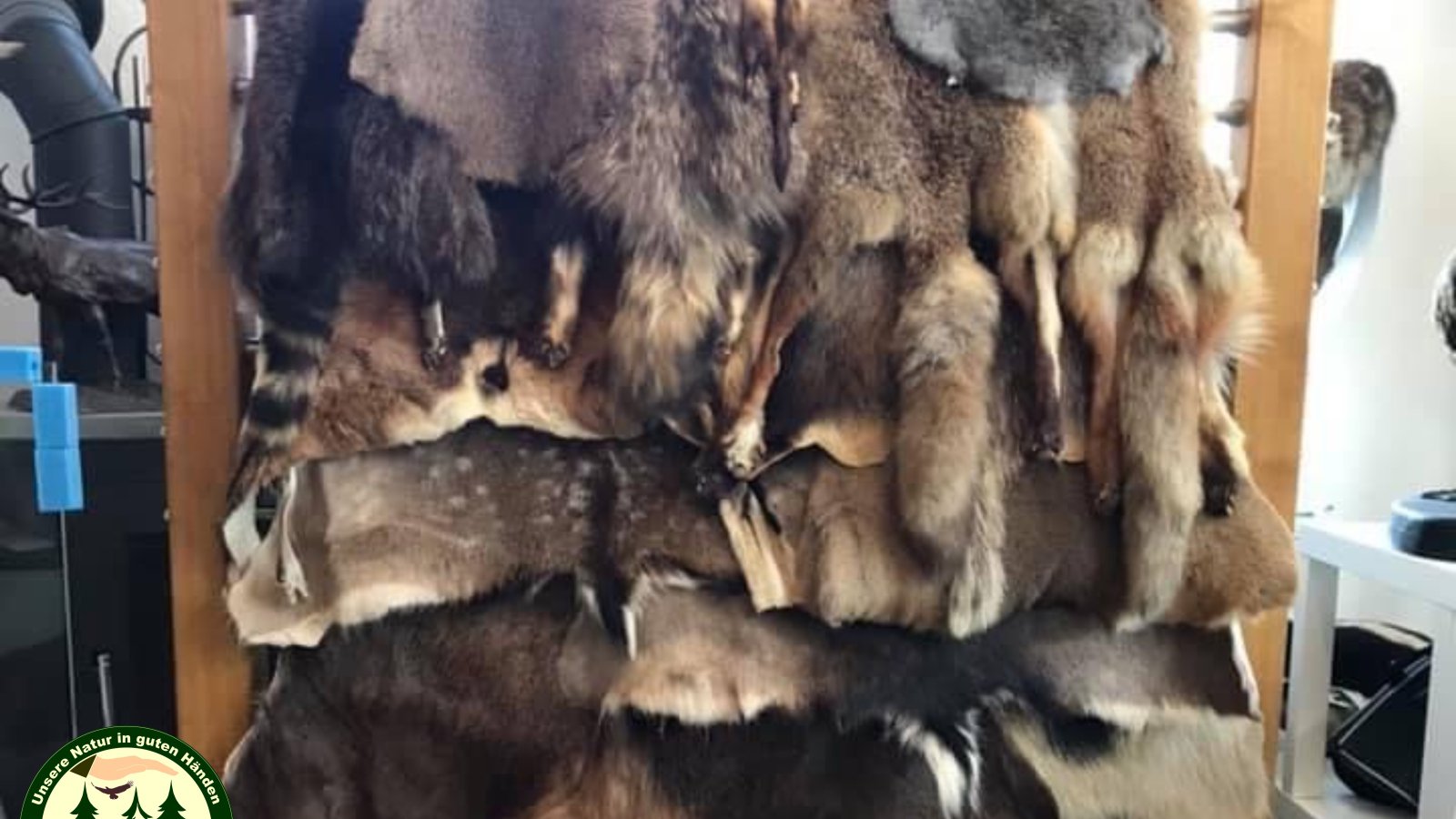 Website Bild Jagdschule 6.jpg